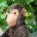 画像3: 大変良い状態です☆ 16cm Steiff Jocko Baby Chimpanzee 推定1978-1979年頃　（ビンテージ） (3)