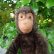 画像2: 大変良い状態です☆ 16cm Steiff Jocko Baby Chimpanzee 推定1978-1979年頃　（ビンテージ） (2)