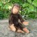 画像1: 大変良い状態です☆ 16cm Steiff Jocko Baby Chimpanzee 推定1978-1979年頃　（ビンテージ） (1)