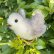 画像2: 画像あり☆ Chick by Cindy Malchoff (My Apple Tree) 9.5cm（米）