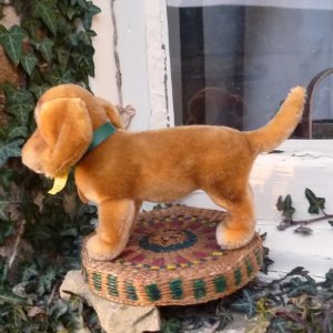 画像2: ID全てあり☆ 大変良い状態です☆ Steiff Bazi Dachshund 14cm 推定1960年代　（ビンテージ）