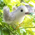 画像あり☆ Chick by Cindy Malchoff (My Apple Tree) 9.5cm（米）