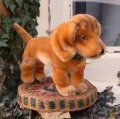 ID全てあり☆ 大変良い状態です☆ Steiff Bazi Dachshund 14cm 推定1960年代　（ビンテージ）