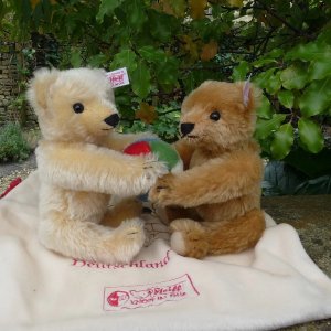 画像4: 大変良い状態です！！ 2003年発売 Steiff Teddy Bear Set with Mohair Ball 20cm