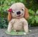 画像1: SALE!　残り1体☆ Tezzie Tubbee Pup 16 cm by Deb Beardsley （アメリカ）4番 (1)