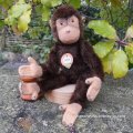 大変良い状態です☆ 16cm Steiff Jocko Baby Chimpanzee 推定1960年代　（ビンテージ）