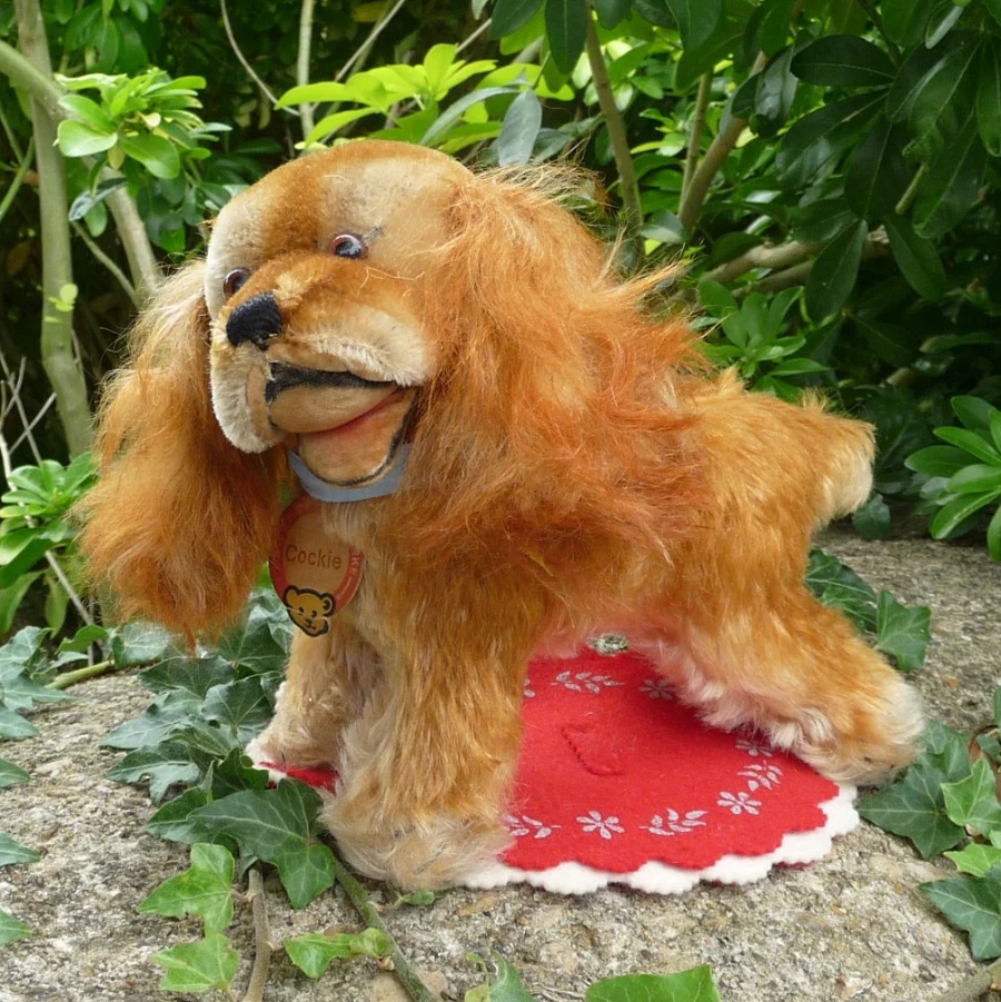 ID全てあり☆ エクセレントコンディション☆ Steiff Cockie Spaniel Standing 17cm 推定 1952年〜1957年頃（ビンテージ）