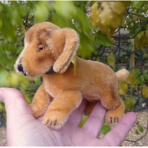 画像: Steiff Bazi Dachshund Puppy 10cm 推定1968年-1975年　（ビンテージ）