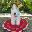 画像2: ID全てあり！ 新品のような大変良い状態です☆　10cm Steiff Foxy Fox Terrier 推定1968年-1975年頃　（ビンテージ）