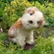 画像2:  17cm Steiff Molly Puppy 推定1959年〜1967年代　（ビンテージ）