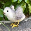 画像4: 画像あり☆ Chick by Cindy Malchoff (My Apple Tree) 9.5cm（米）