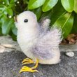 画像3: 画像あり☆ Chick by Cindy Malchoff (My Apple Tree) 9.5cm（米）