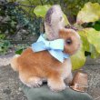 画像2: イアンさんのお気に入り☆ Steiff Sitting Rabbit 8cm 推定1960年代 （ビンテージ）