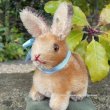 画像1: イアンさんのお気に入り☆ Steiff Sitting Rabbit 8cm 推定1960年代 （ビンテージ）