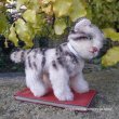 画像3: 10cm Steiff Kitty Cat 1960年代　（ビンテージ）