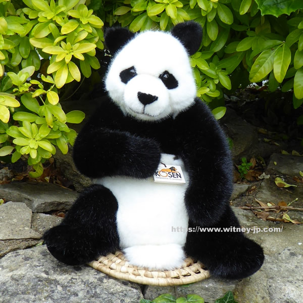Kosen Sitting Panda, Medium パンダ 座りポーズ ケーセン テイクス