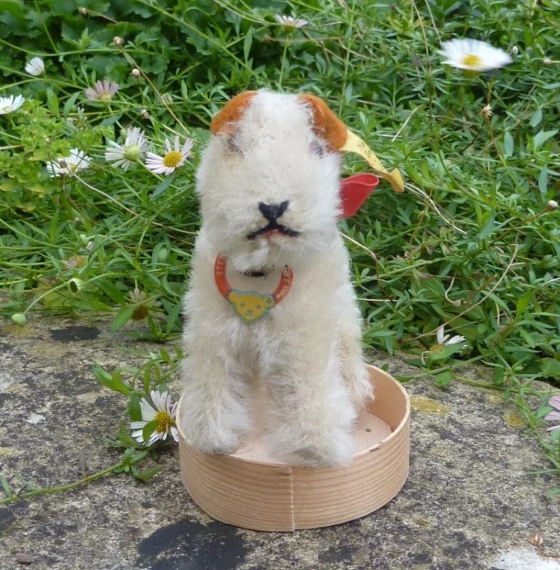 8cm Steiff Foxy Fox Terrier, circa 1950s teddy bears of witney