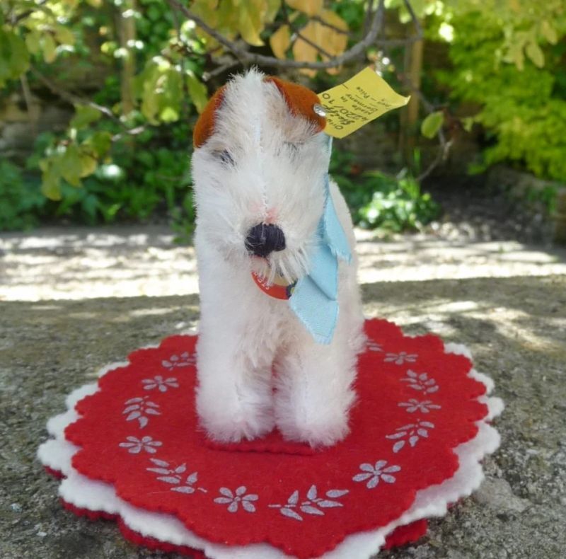 画像: ID全てあり！ 新品のような大変良い状態です☆　10cm Steiff Foxy Fox Terrier 推定1968年-1975年頃　（ビンテージ）