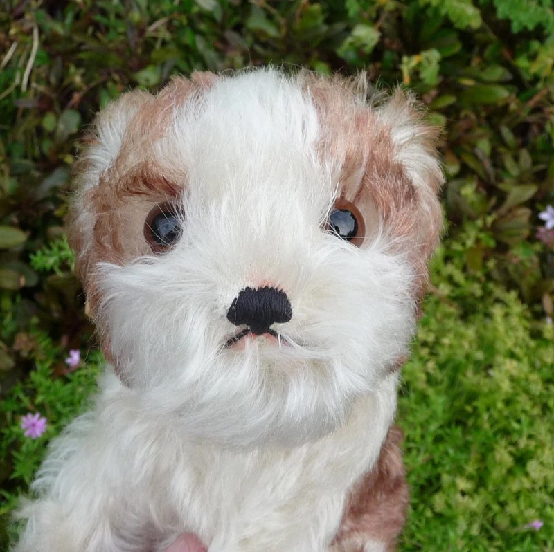 画像:  17cm Steiff Molly Puppy 推定1959年〜1967年代　（ビンテージ）