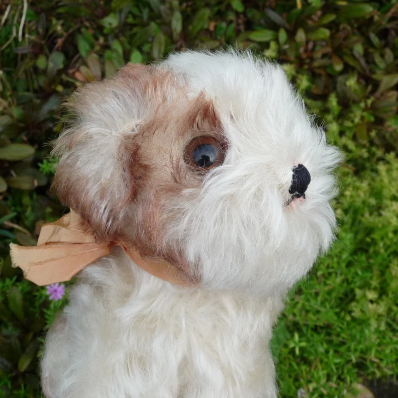 画像:  17cm Steiff Molly Puppy 推定1959年〜1967年代　（ビンテージ）