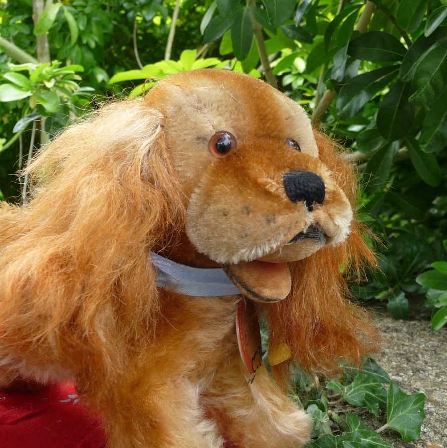 画像: ID全てあり☆ エクセレントコンディション☆ Steiff Cockie Spaniel Standing 17cm 推定 1952年〜1957年頃（ビンテージ）